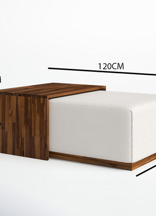 طاولة قهوة من قطعتين بتصميم مميز-CT0217